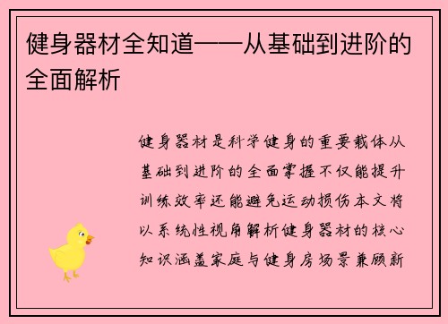 健身器材全知道——从基础到进阶的全面解析