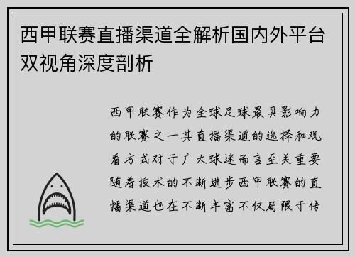 西甲联赛直播渠道全解析国内外平台双视角深度剖析